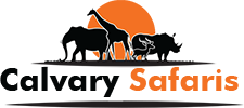 Calvary Safaris Limited 